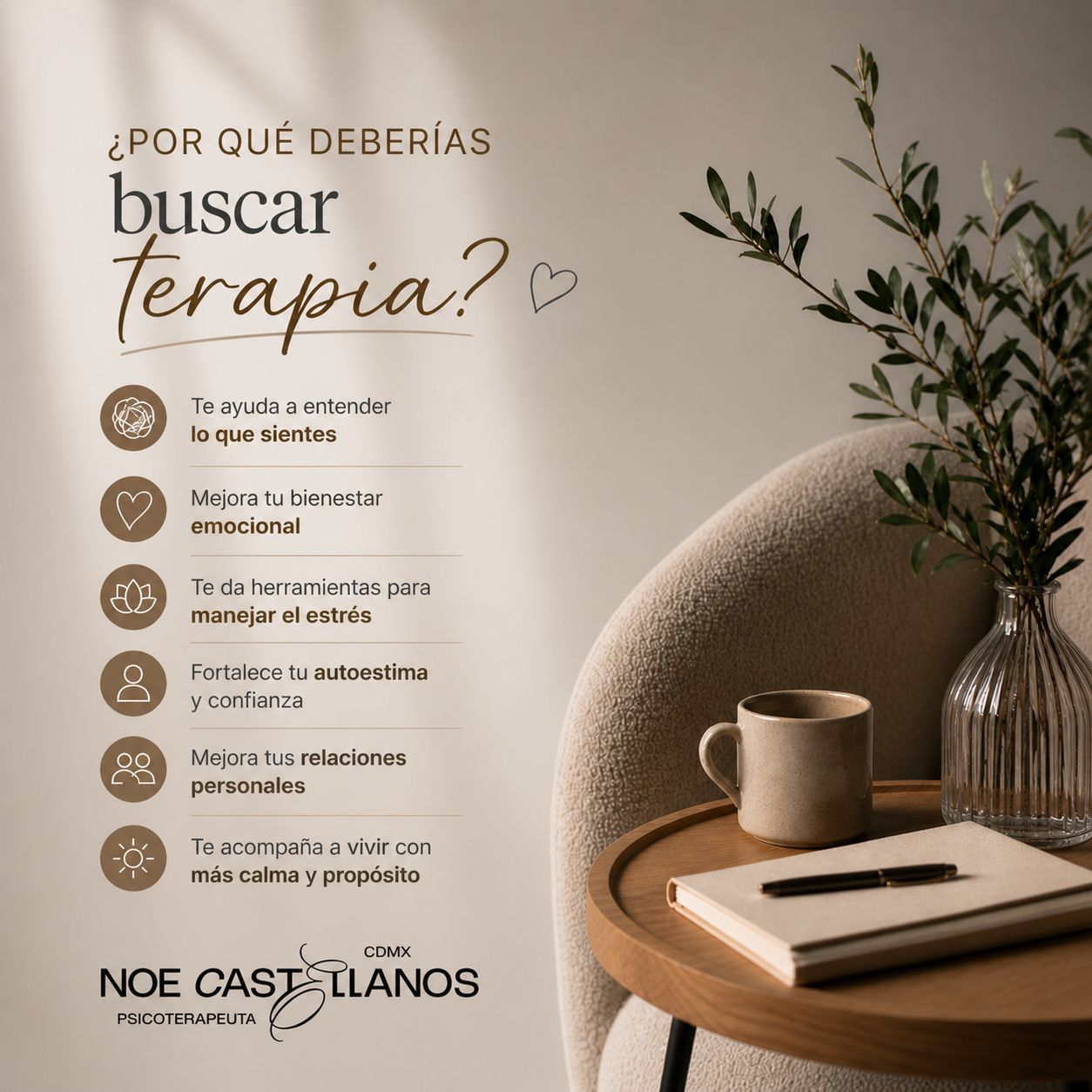 Noe Castellanos Luna-3