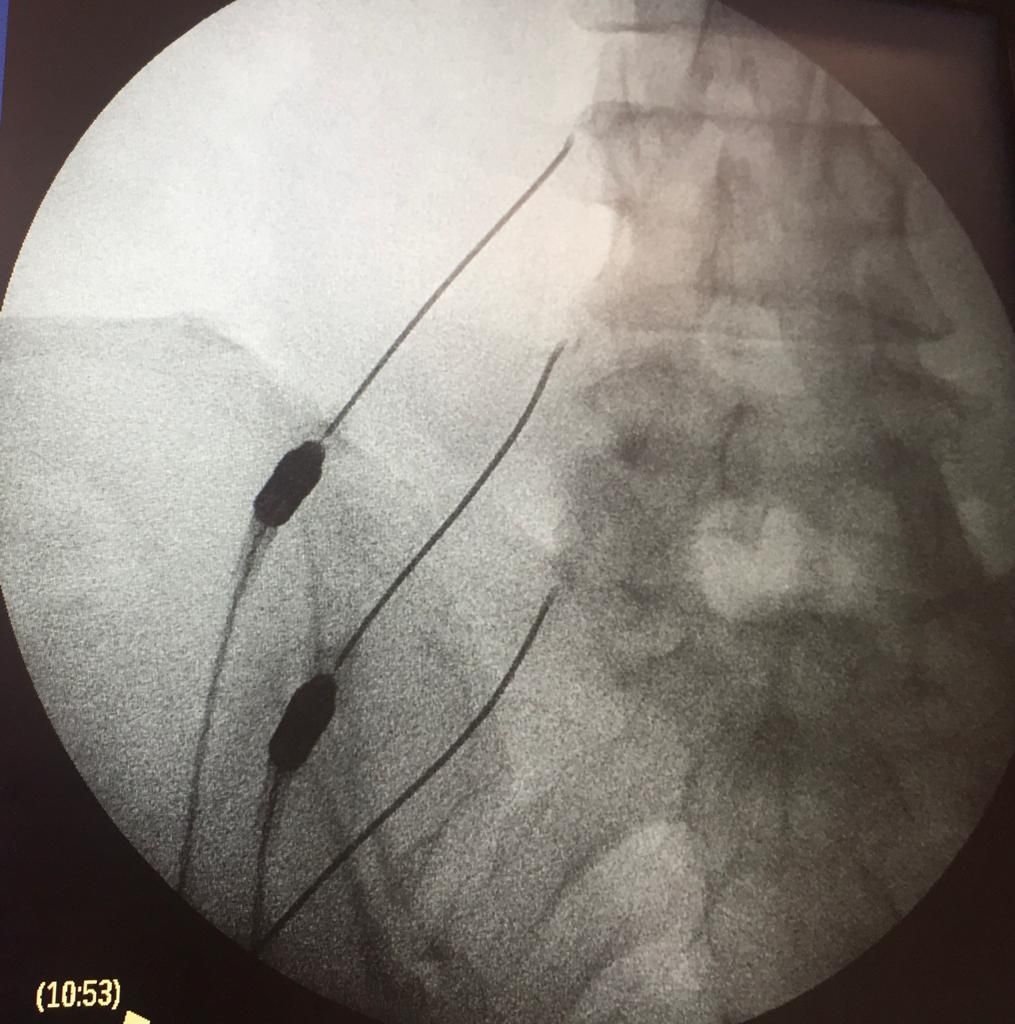 Margarita Santiago Monroy-6