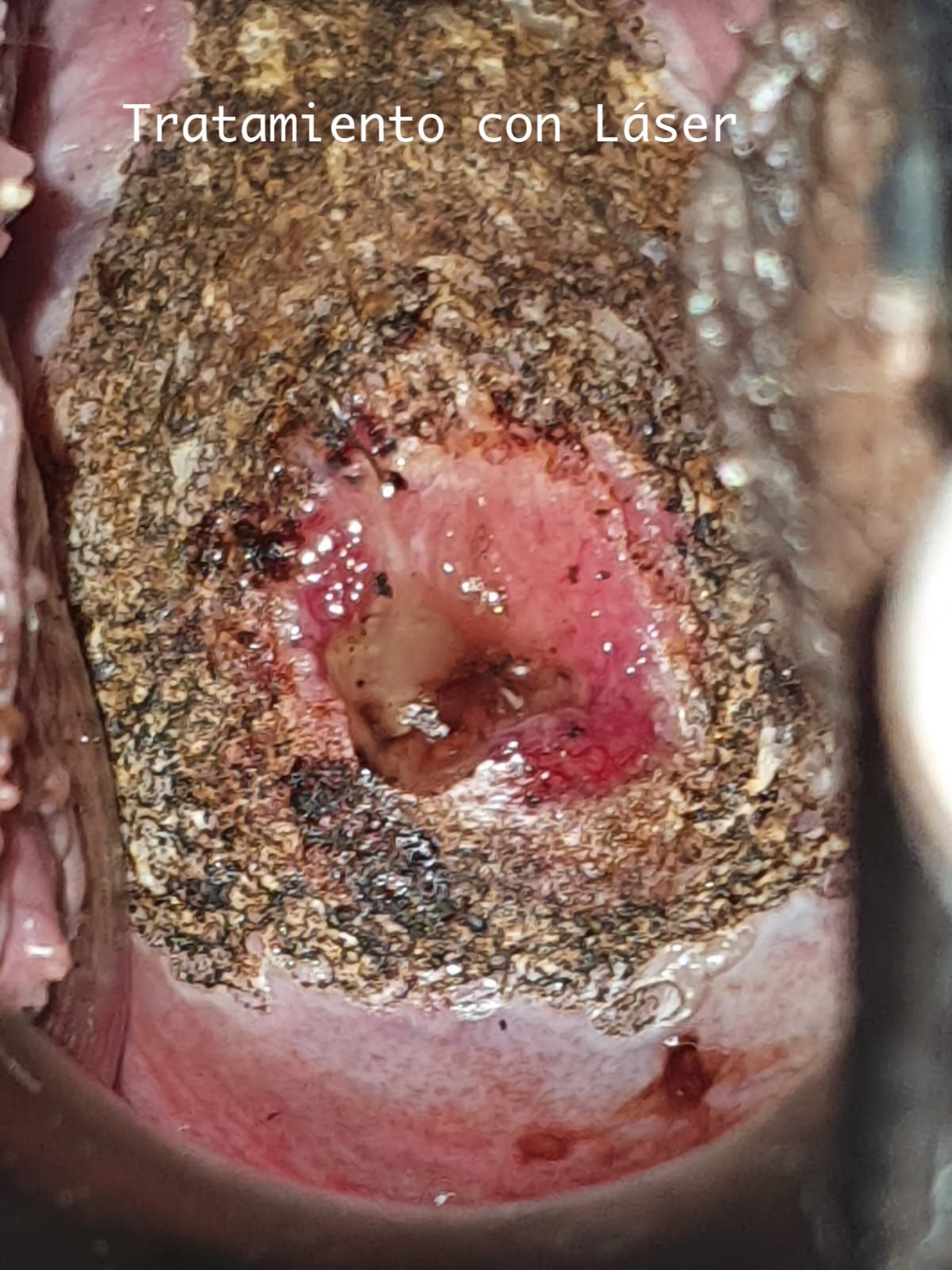 Moises Juda Ramos Abarca-8