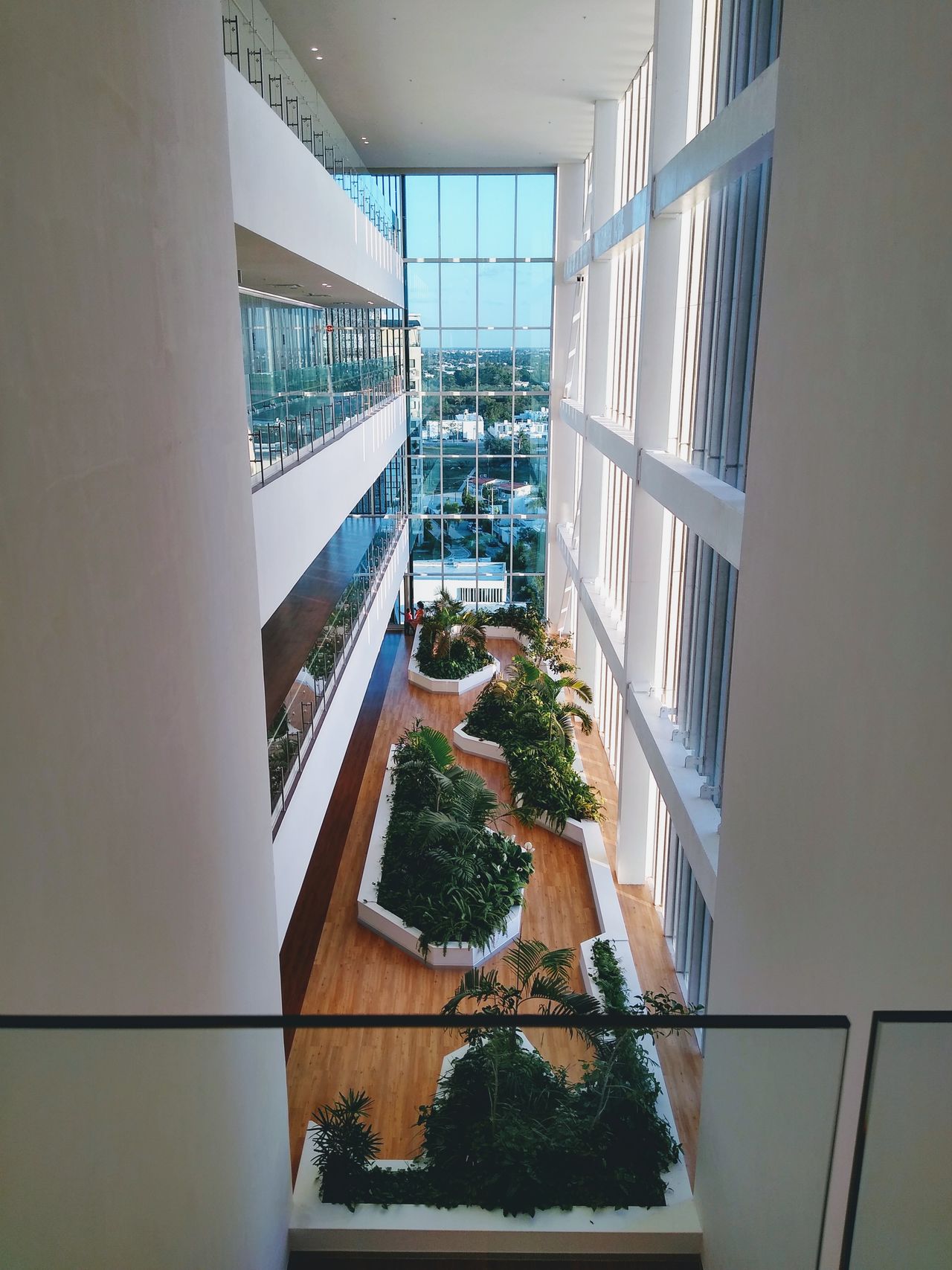 Jose Fernando Castro Gomez-7