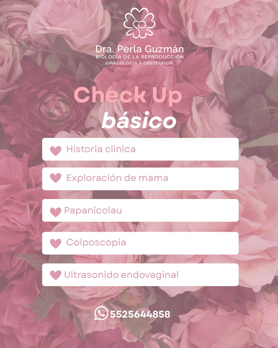Perla Guzmán-7