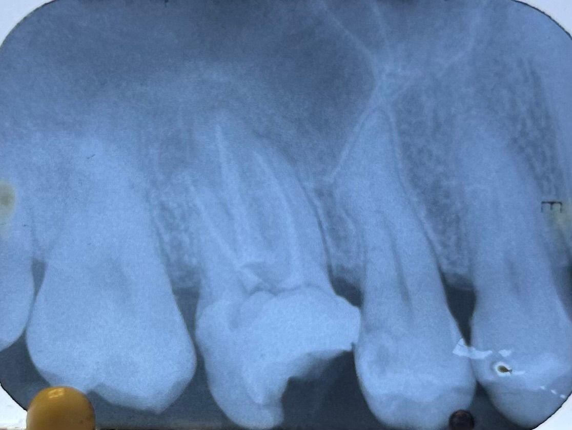 Fernanda Pérez Murrieta-0