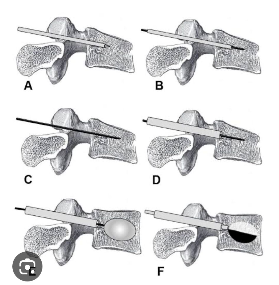 Gregorio Octavio Macías Robles-12