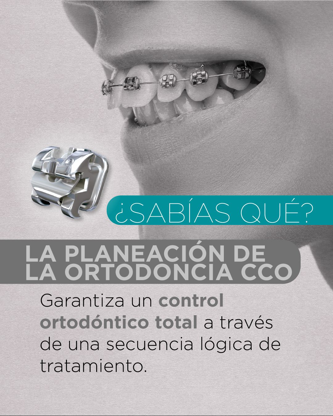 Diana De La Torre Priego-47