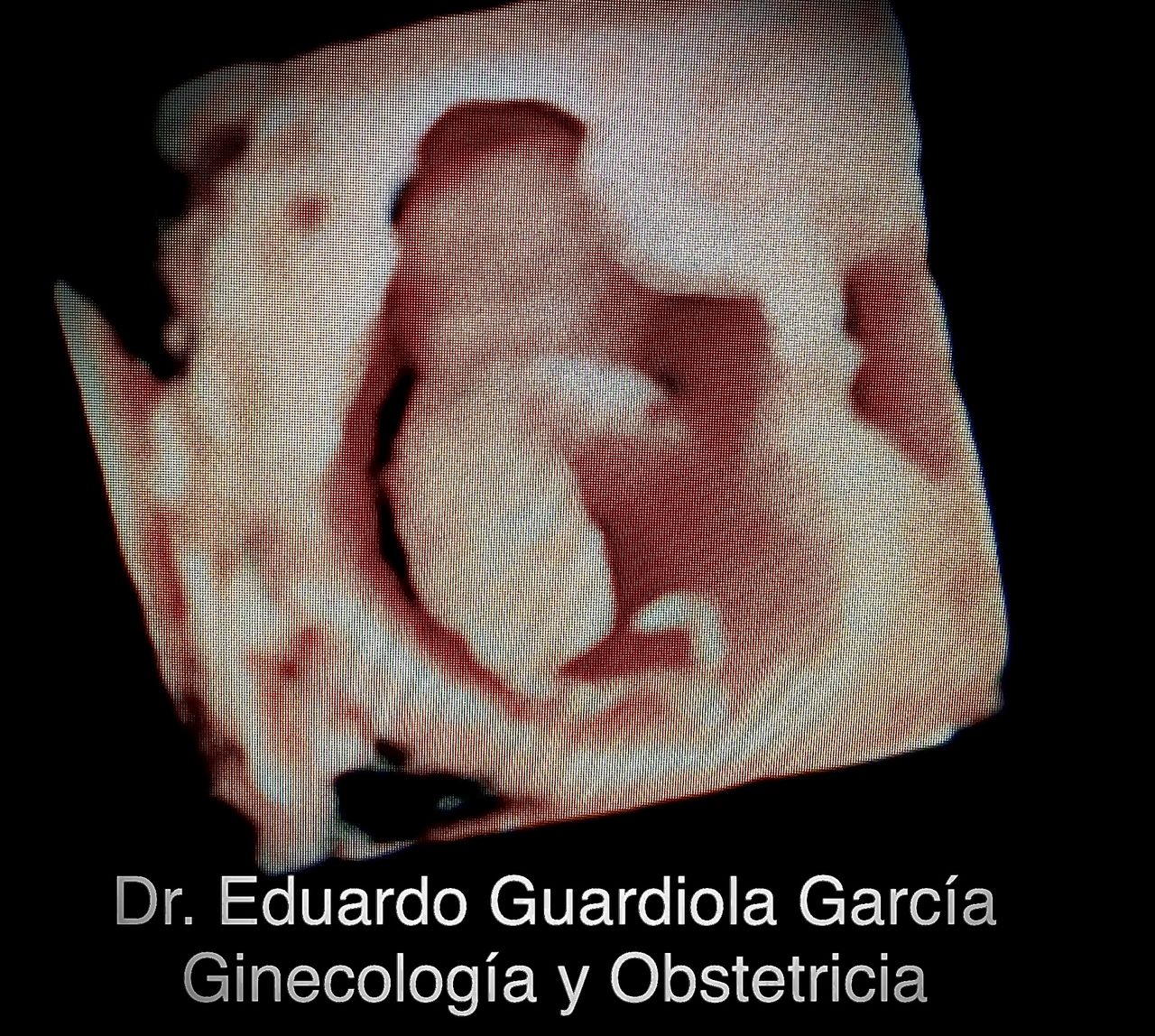 Eduardo Guardiola García-26