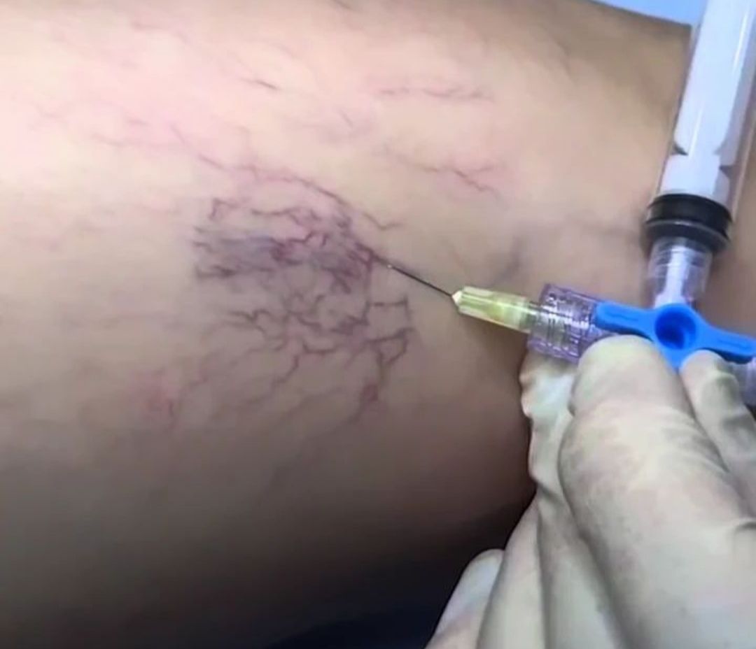 Diana Mojarro Velazco-6