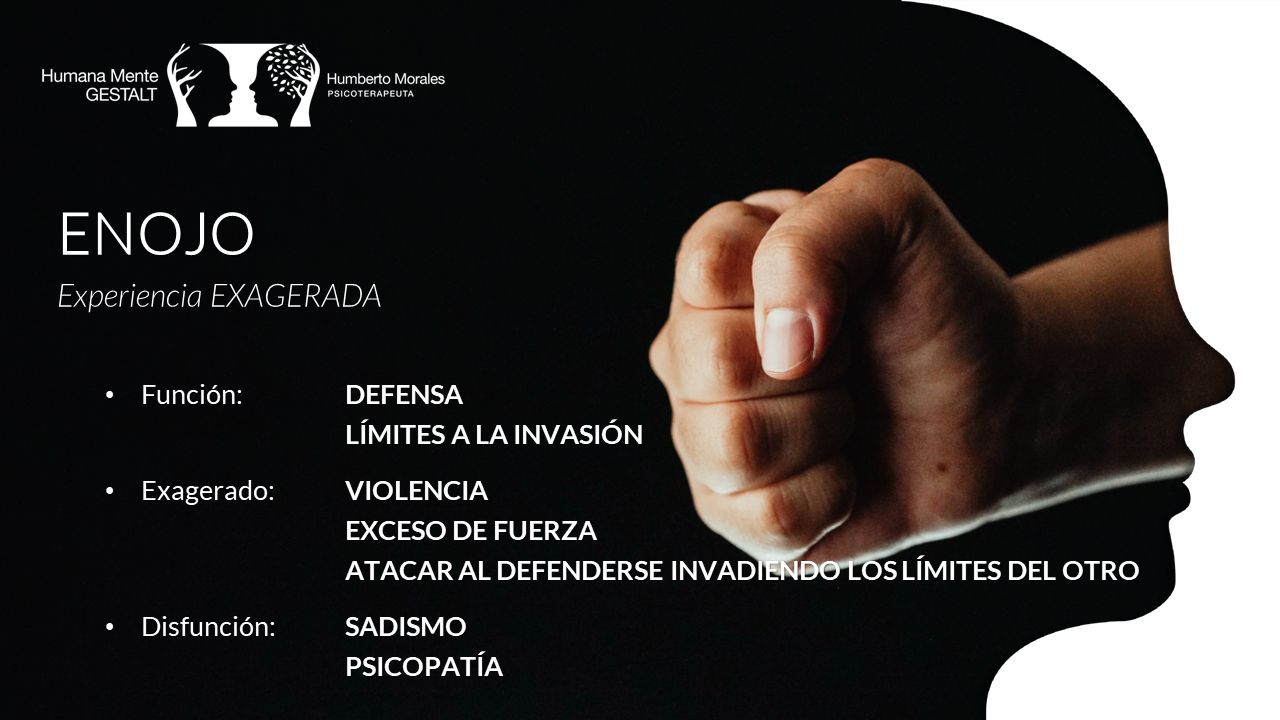 José Humberto Morales Galindo-20