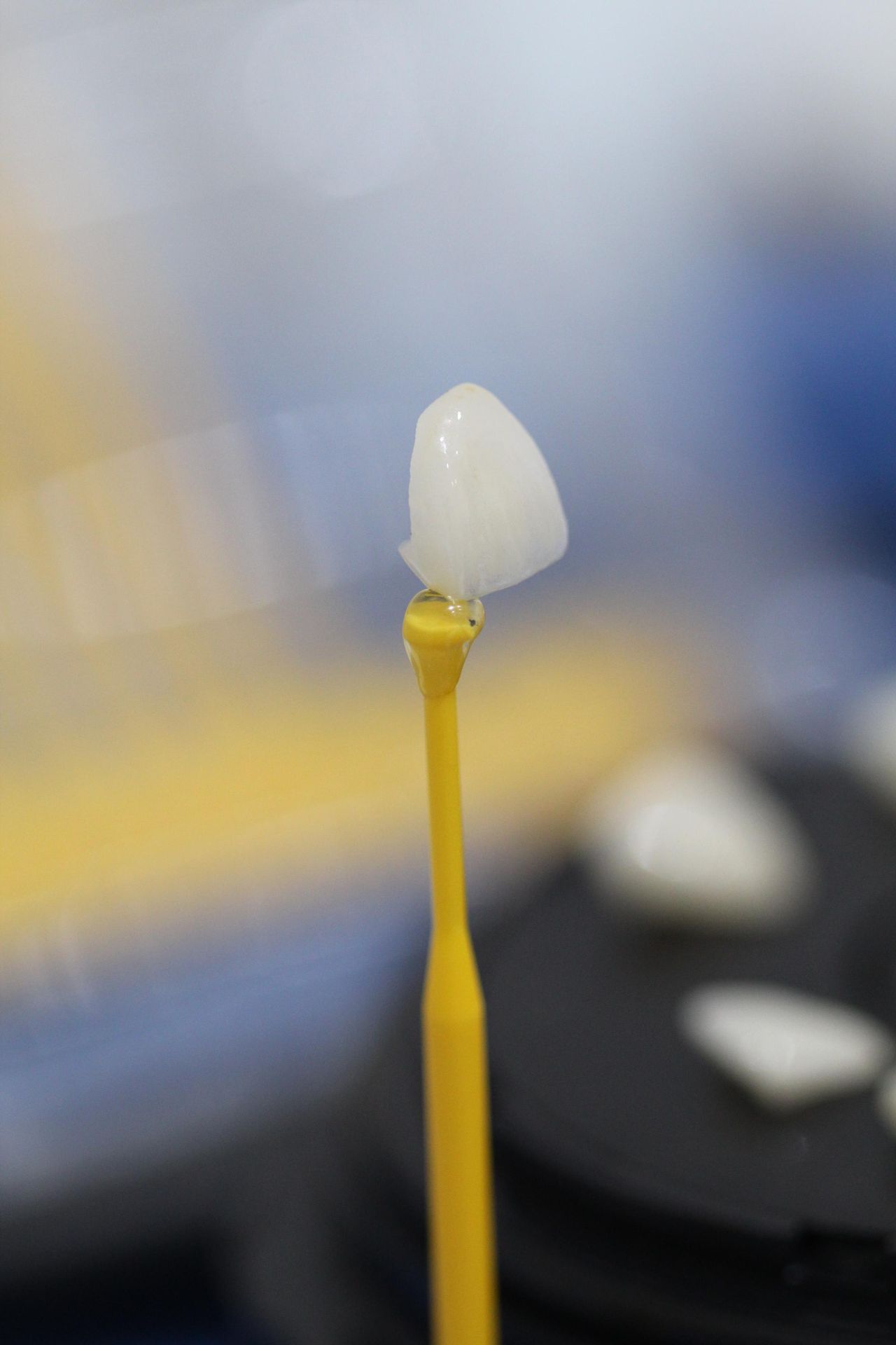 Antonio Fuentes Rodriguez-10