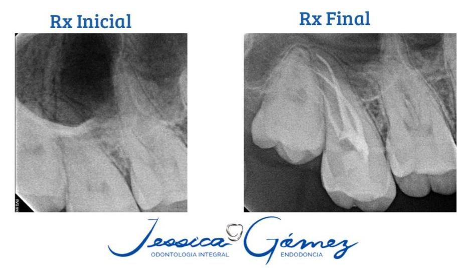 Jessica Gómez Tavizon-8