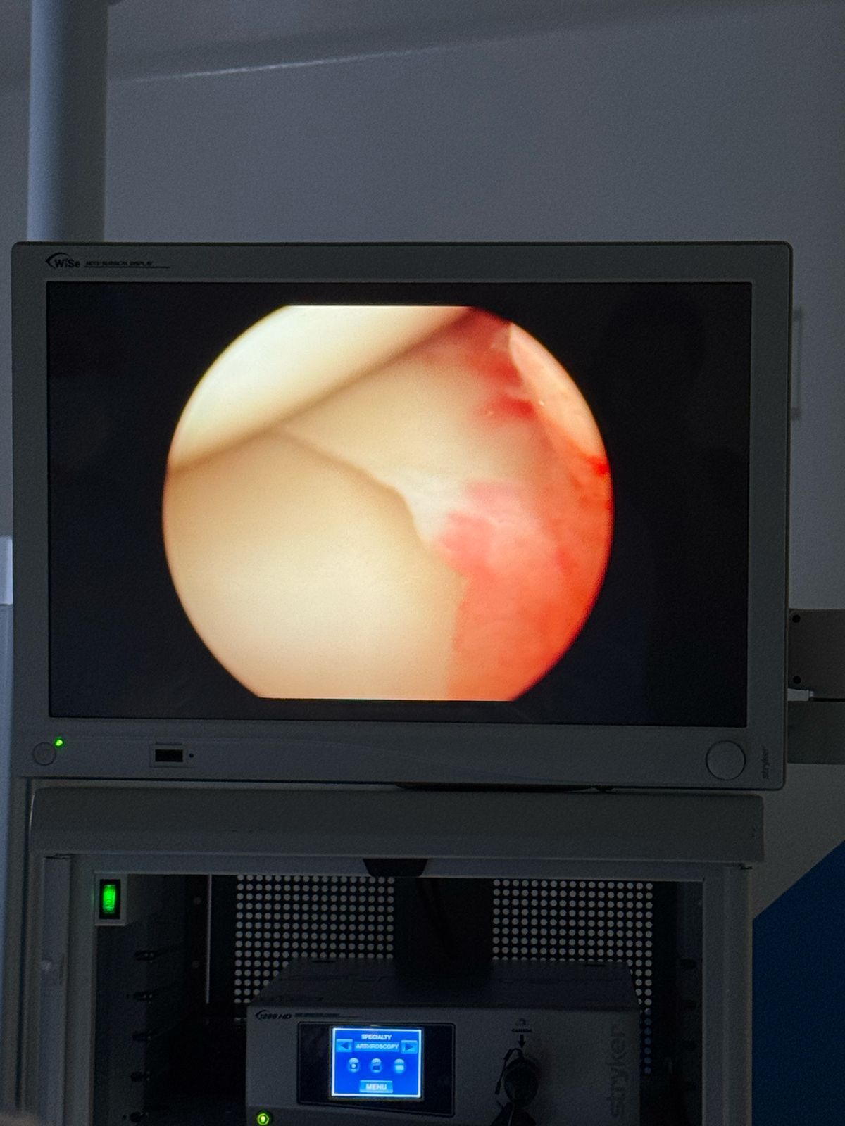 José Enrique Herrera Mesino-4