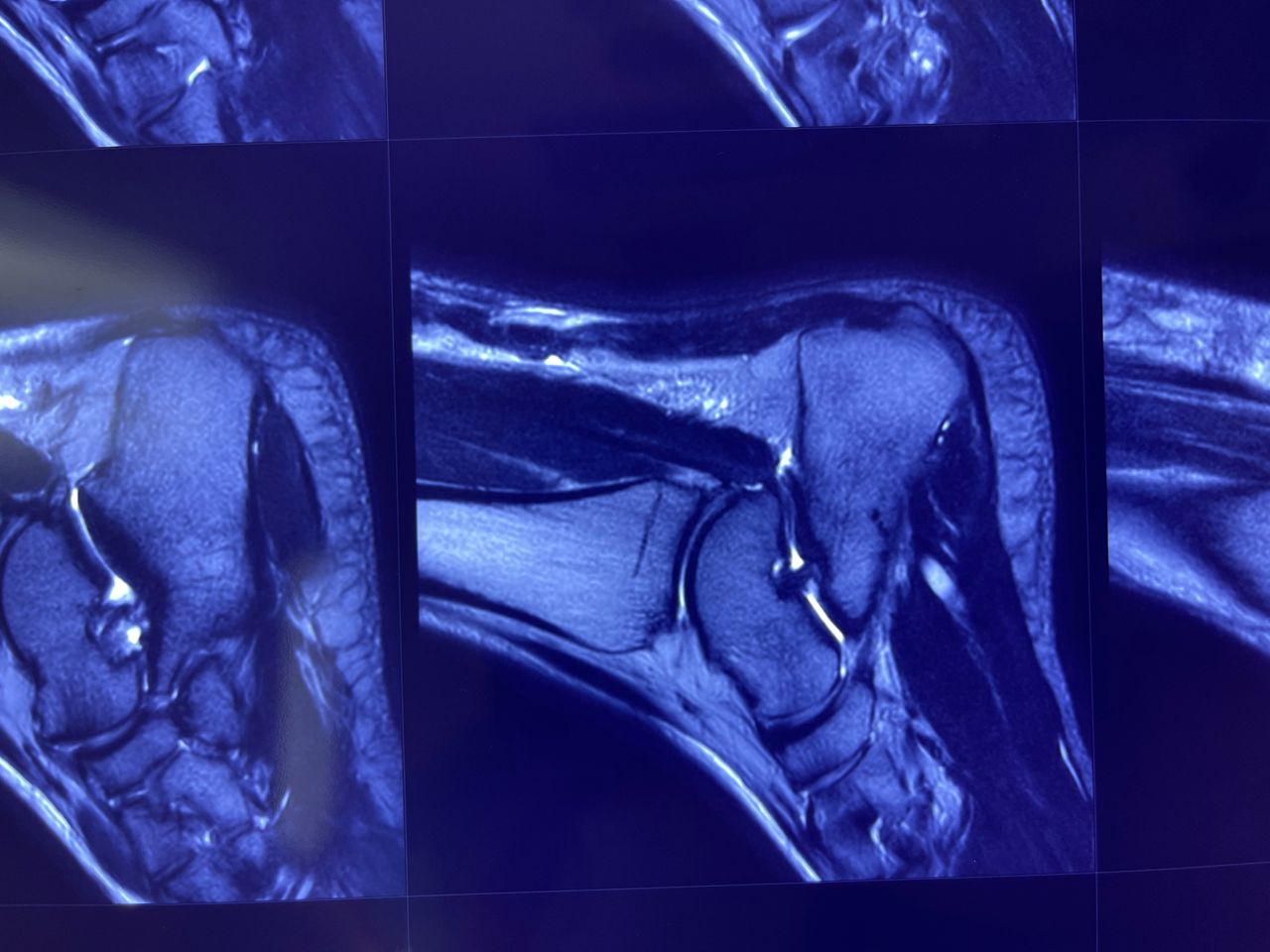 Gustavo E Ramirez Reyna-22