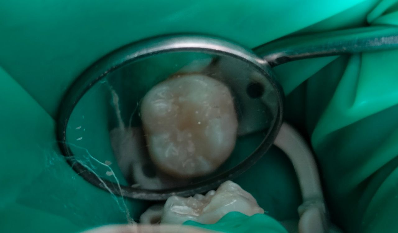 Yaneth Gutiérrez Sánchez-29