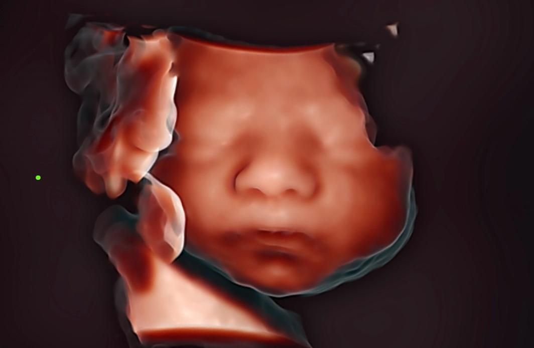 María Fernanda Rangel Orozco-0