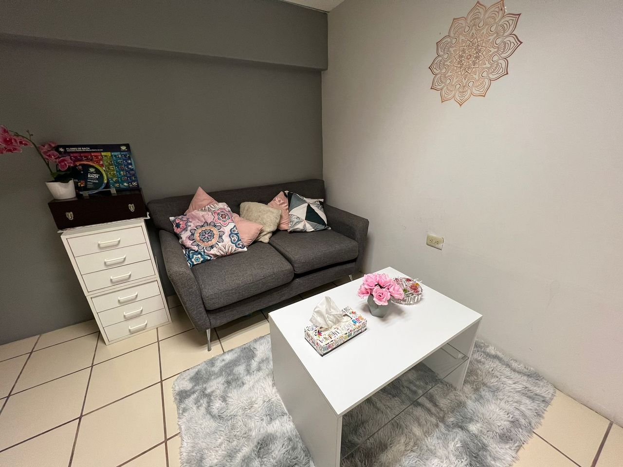 Brenda Carrera-2