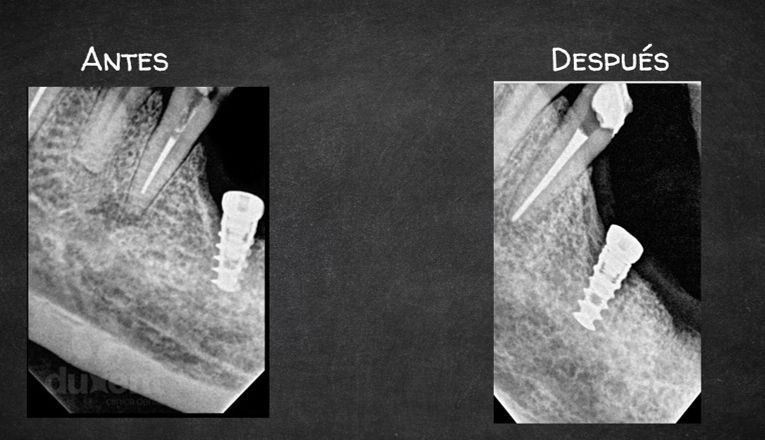 Monserrat Jorge Cruz-1