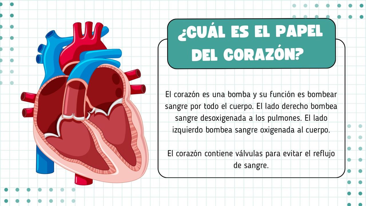 Gerardo Reyes Velázquez-2