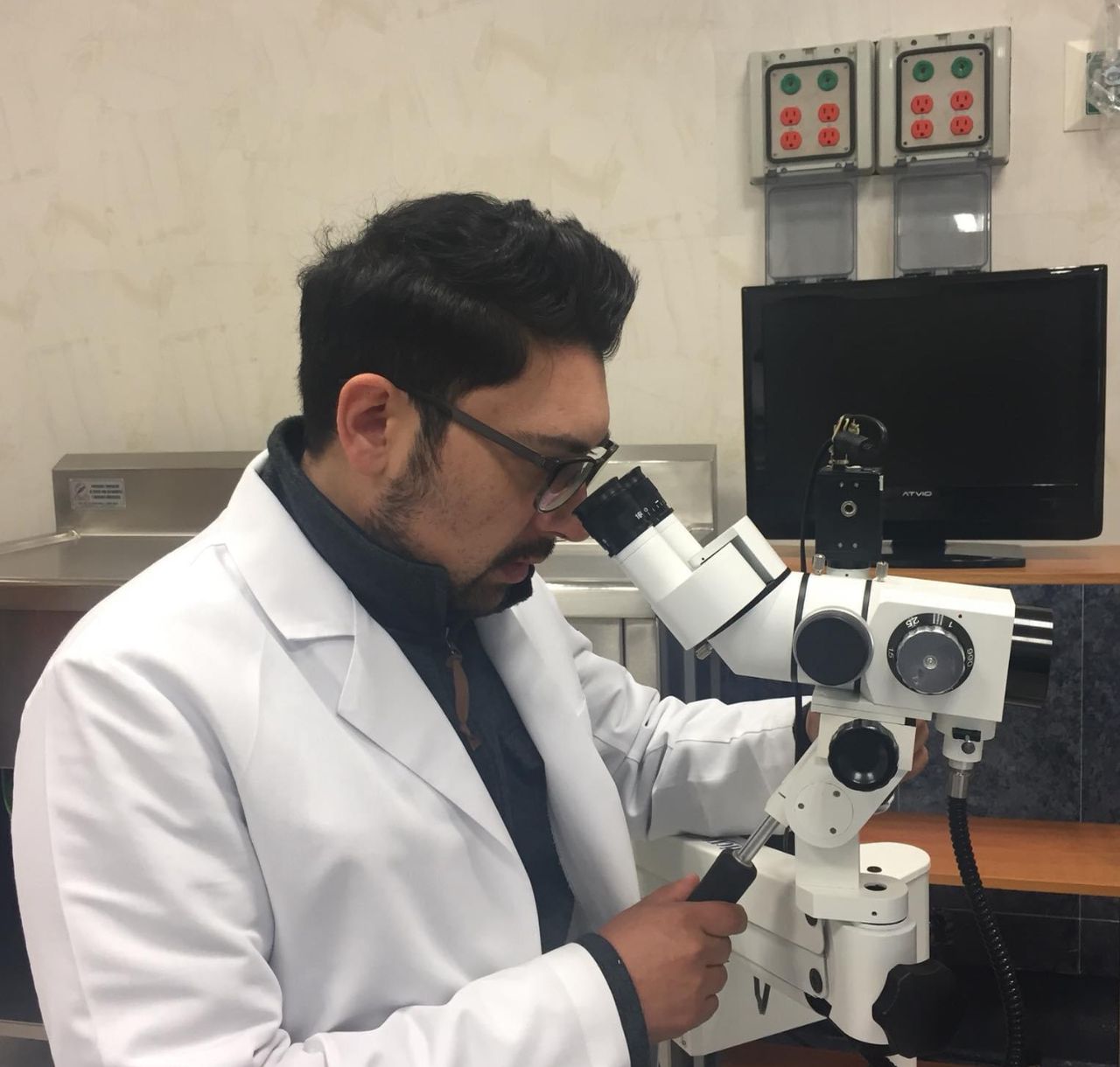 Araró Molina Coronel-12