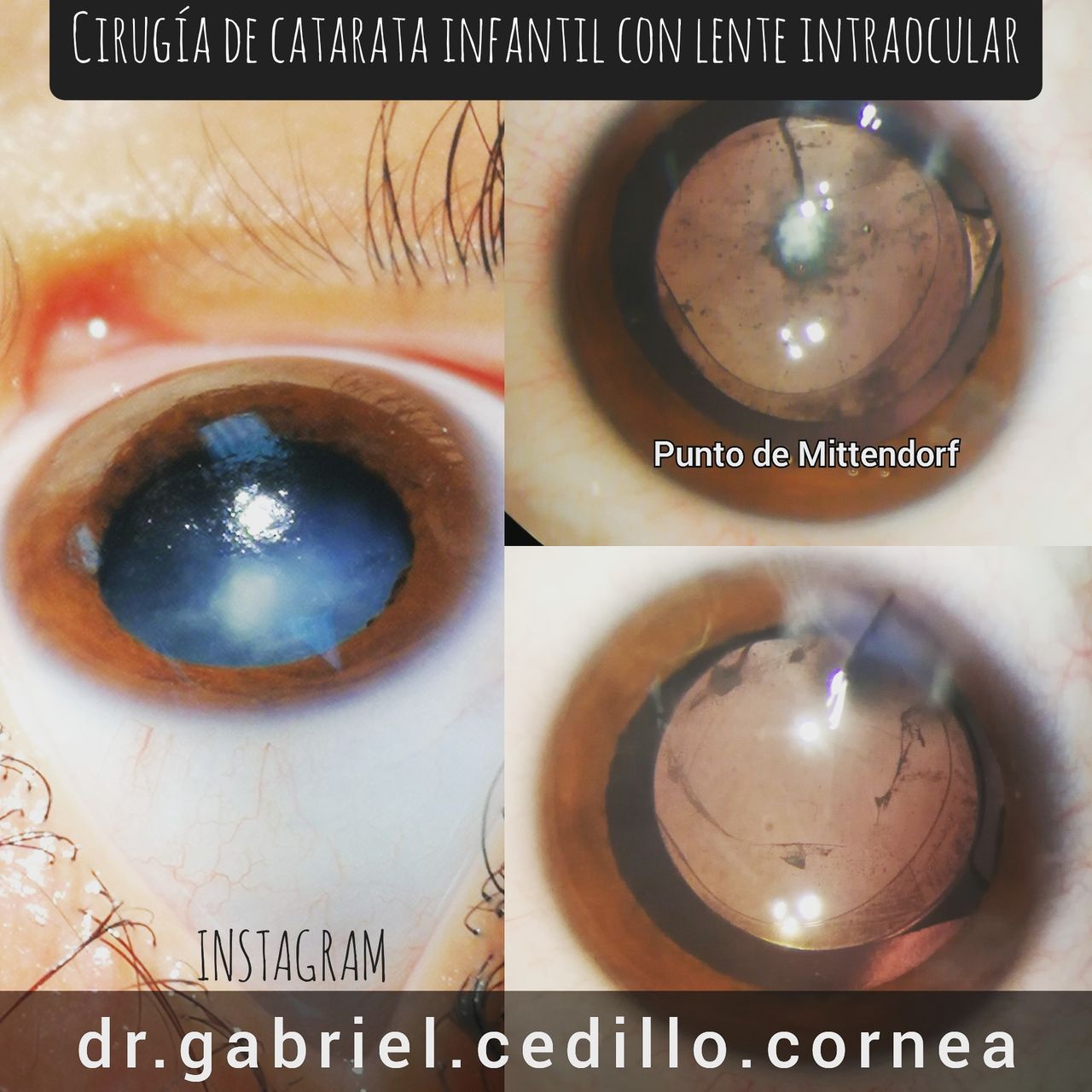 Héctor Gabriel Cedillo García-25