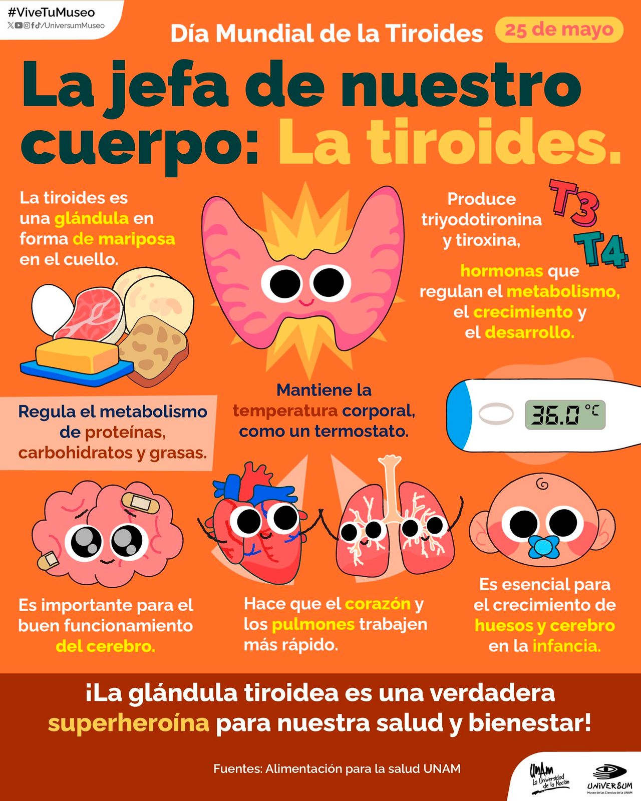 Raymundo Alejandro Cuevas Escalante-72