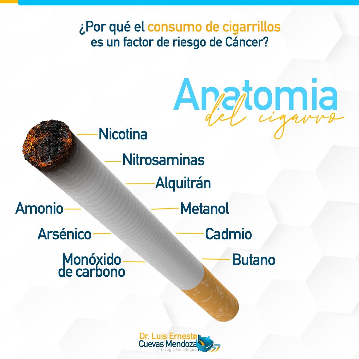 Luis Ernesto Cuevas Mendoza-5