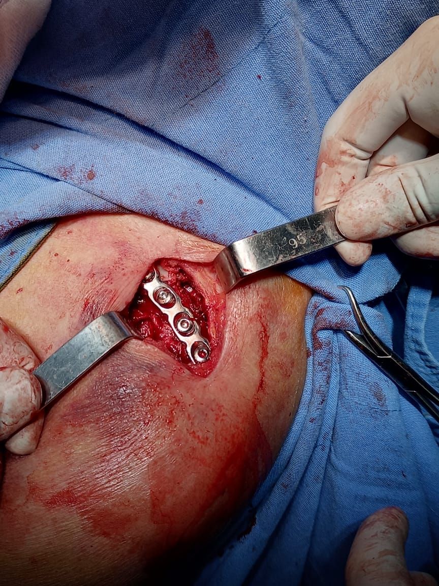 Carlos Horacio Sanchez Rodrigo-15