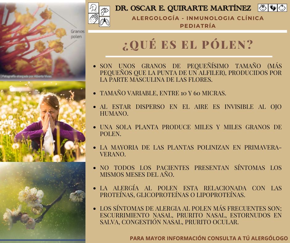 Oscar E. Quirarte Martínez-15