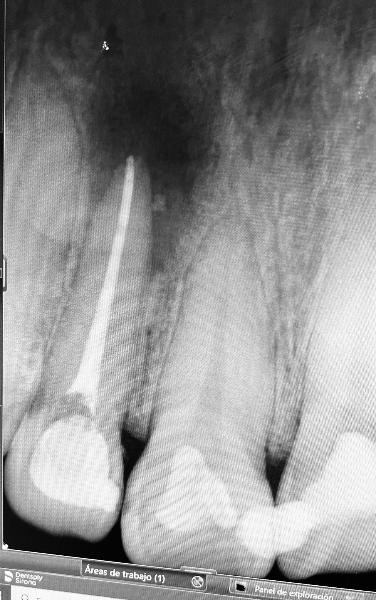 Sonia Lucía Senties Perez Carreño-3