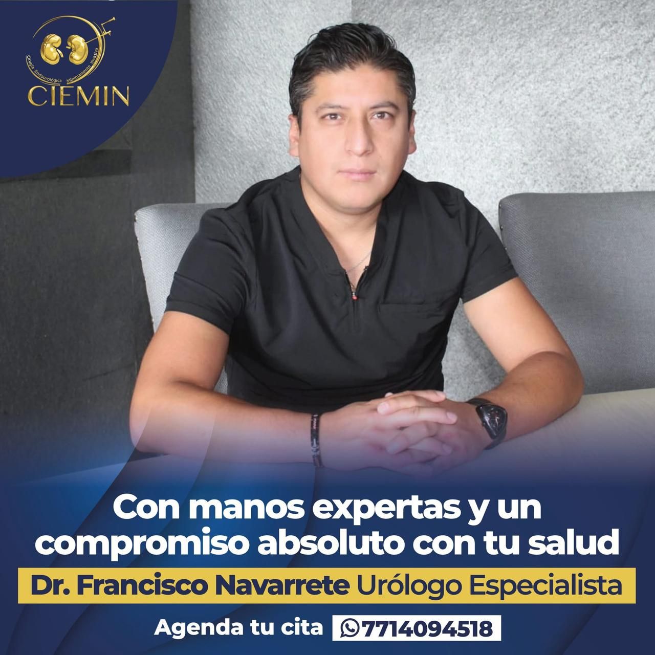 Francisco Emmanuel Navarrete Hernández-0