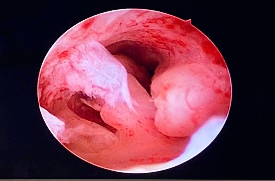 Lorena Balladares Macedo-13