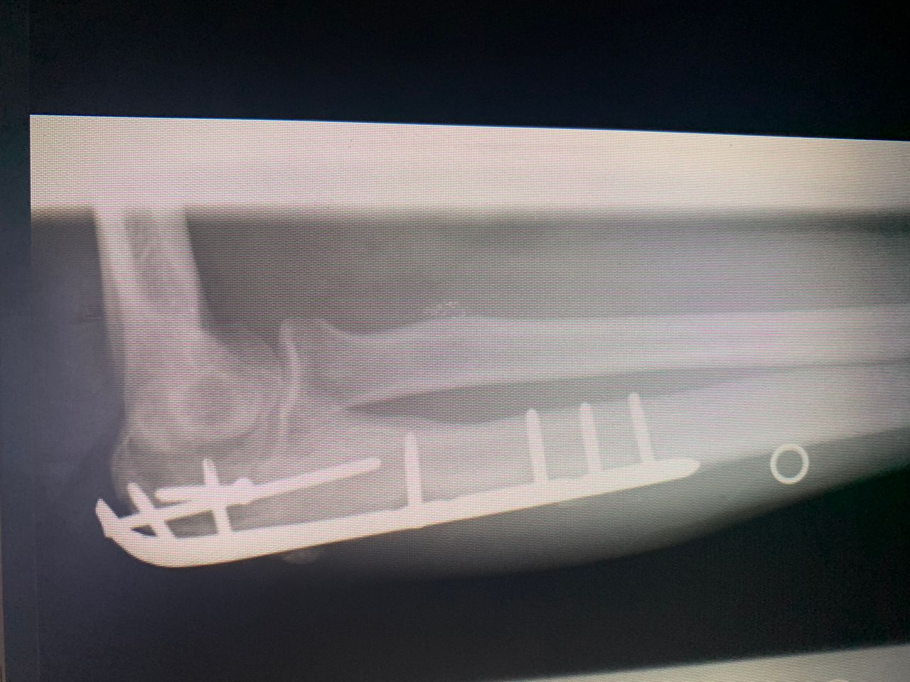 Jesus Armando Silvestre Guzman-3