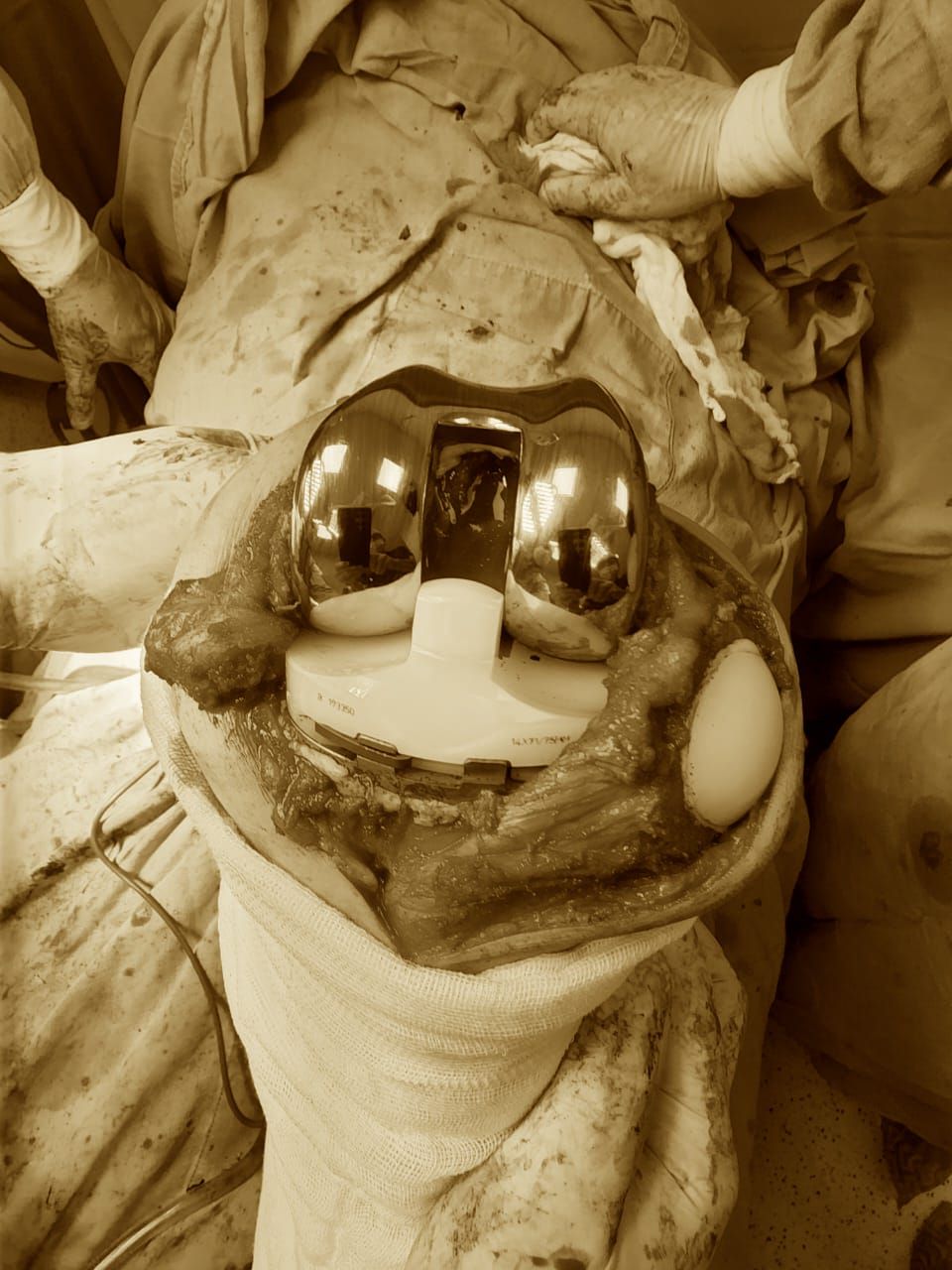 Marco Alejandro Flores Reaza-14