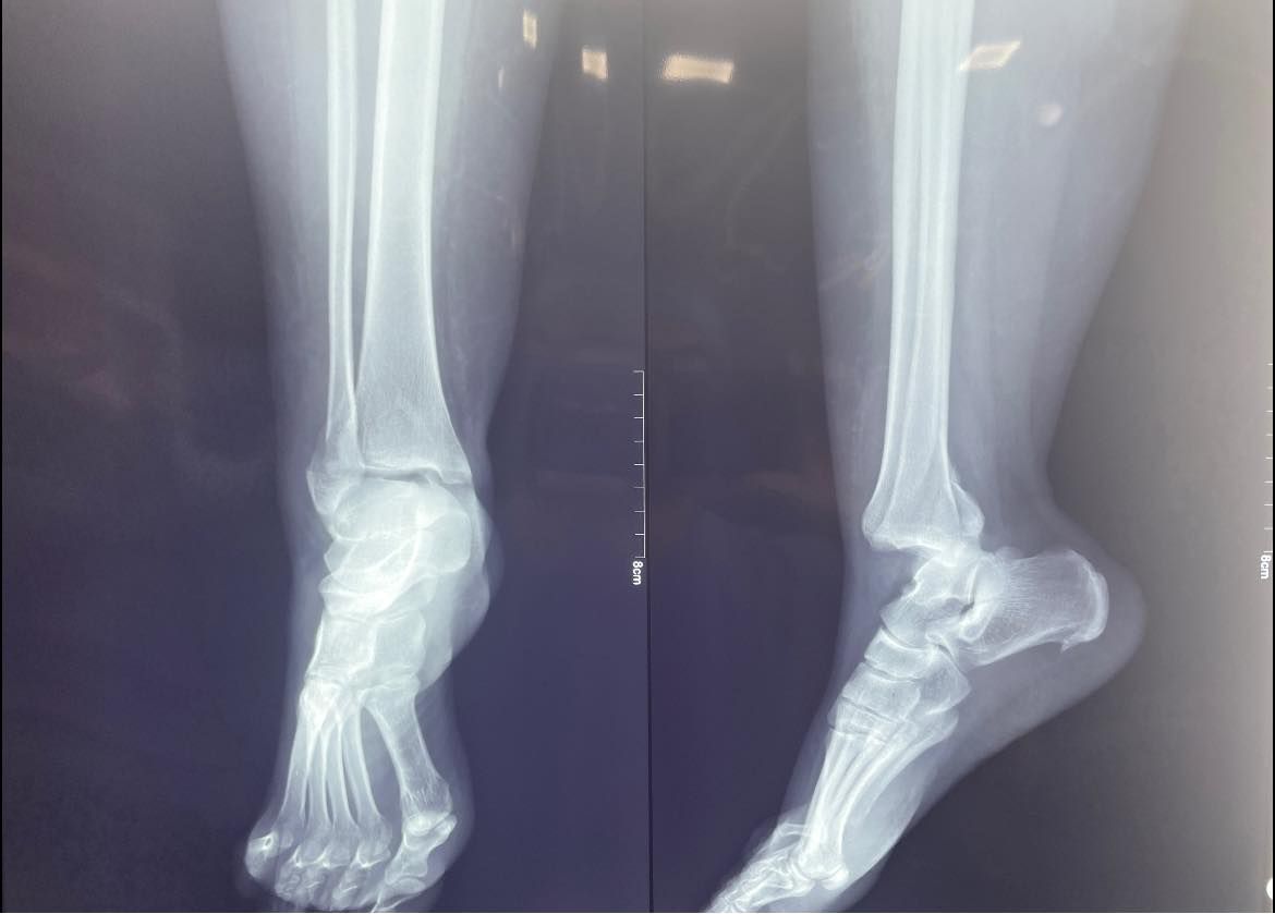 Felix Alfaro Arias-6