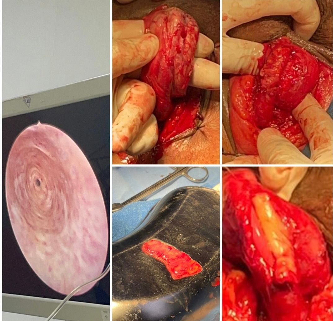 Lázaro Sánchez Vicuña-13