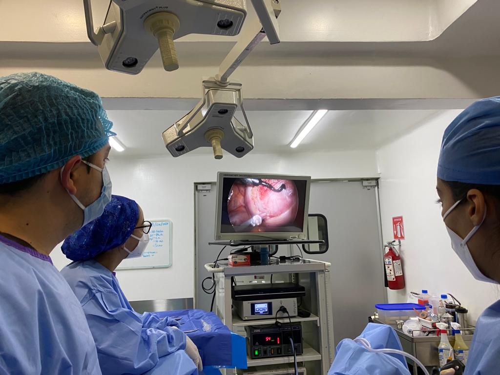 Carlos Alberto Barba Romero-3