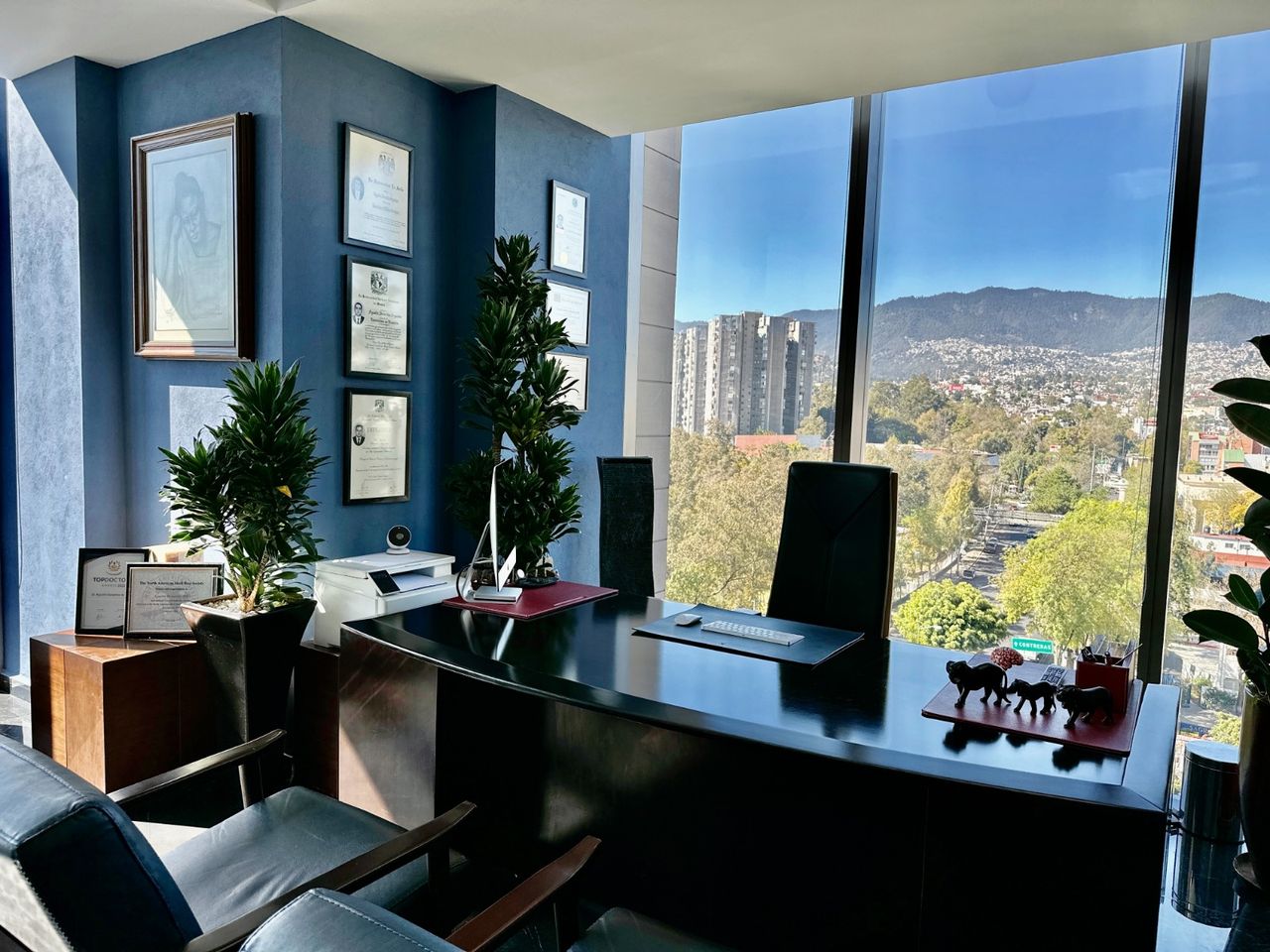 Agustín Dorantes Argandar-3