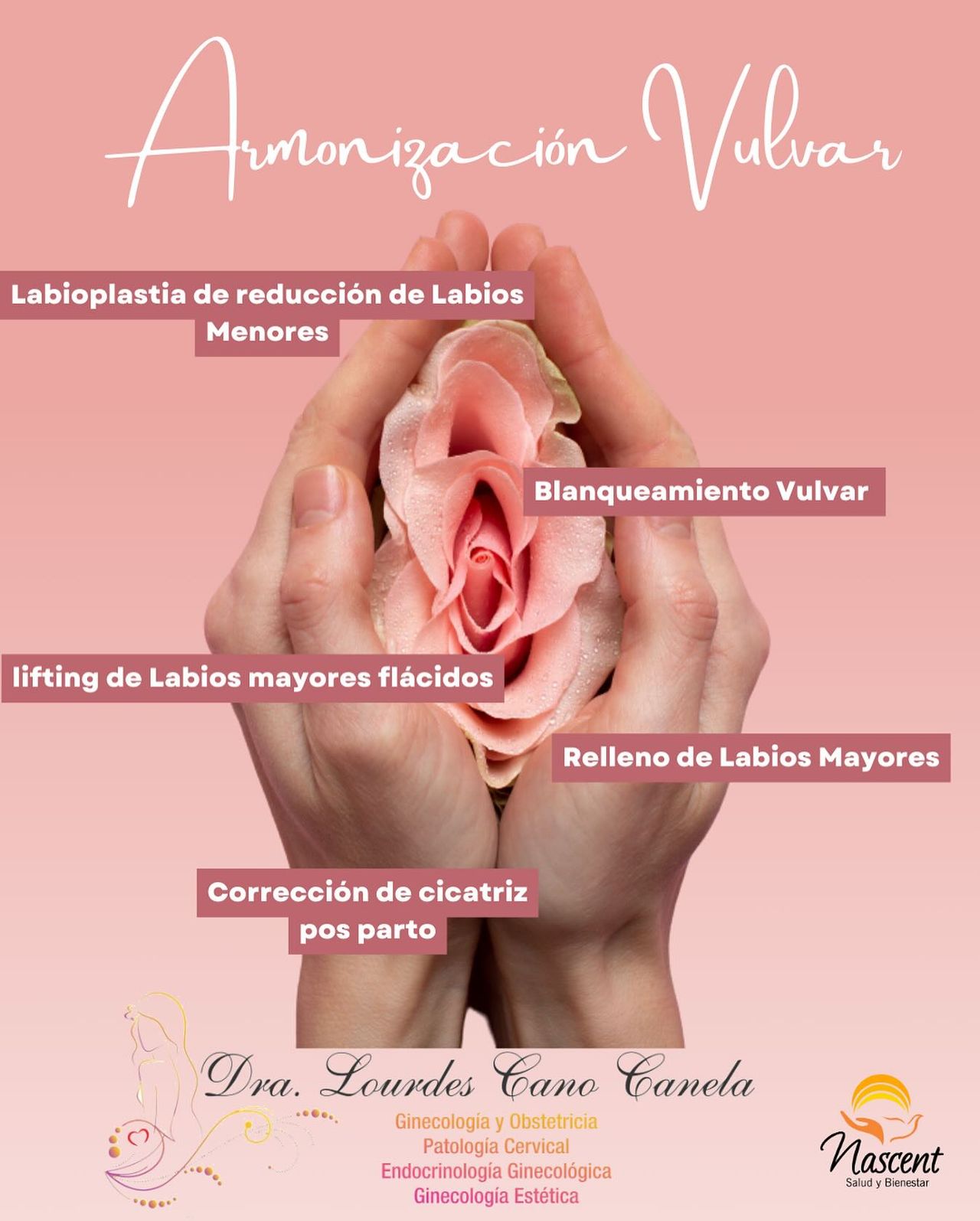 Guadalupe Muñoz Castro-127