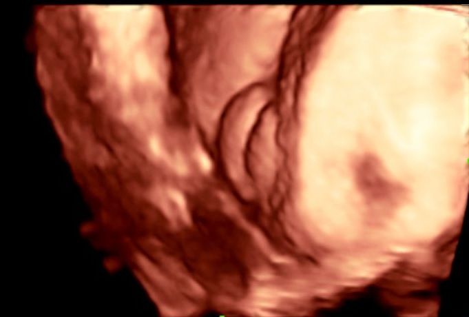 Mario López Franco-5