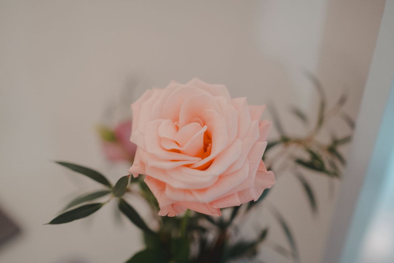 Ximena Mendoza Villegas-1