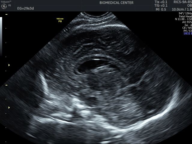 Rodrigo Figueroa Meza-2