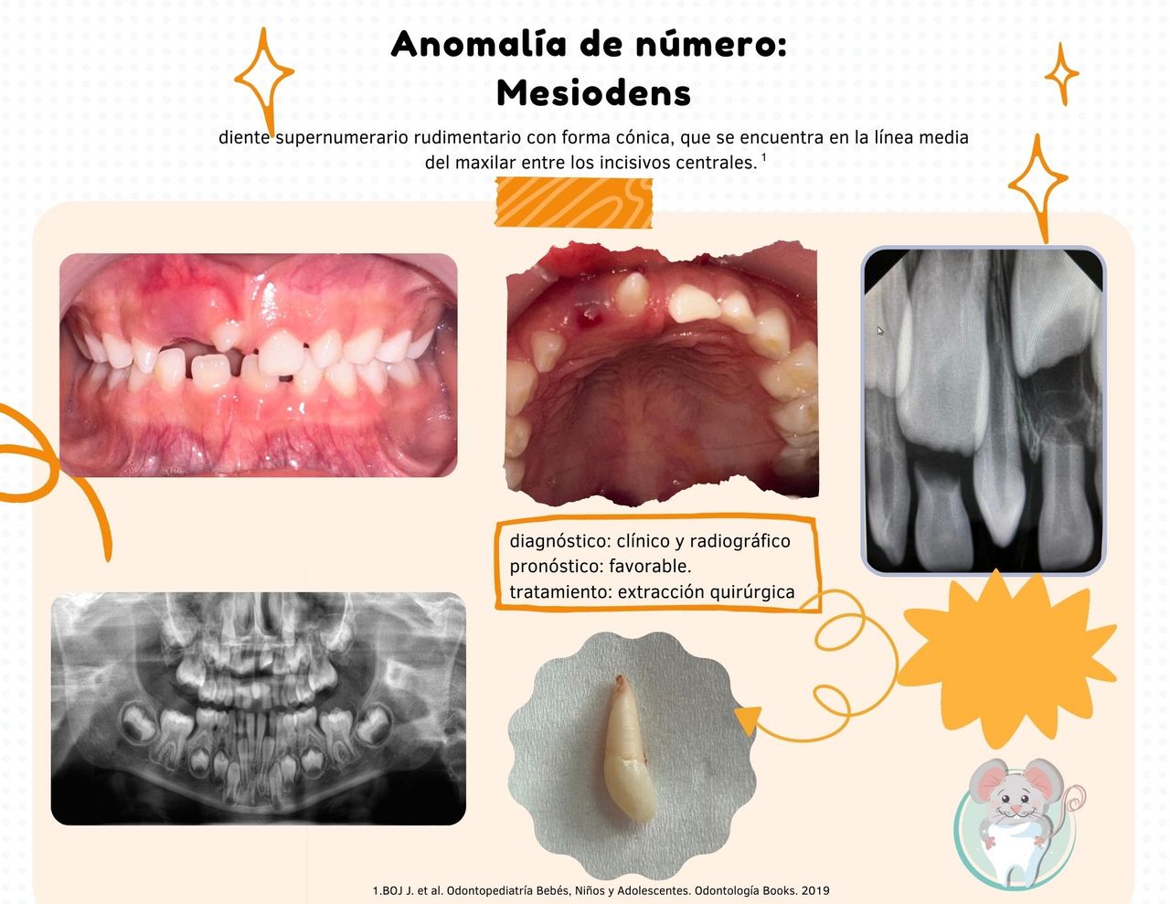 Sofía De La Selva-9
