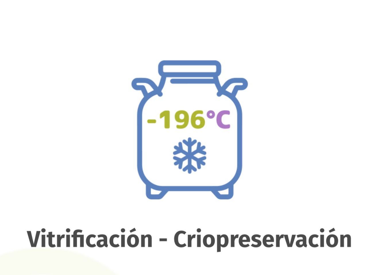 Leticia Esperanza Burgos Mora-4