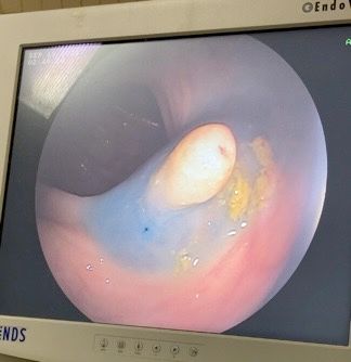 J. César Reyes Vásquez-31