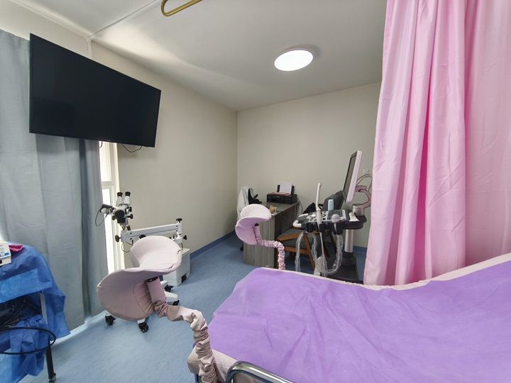 Diana Villeda Barrera-6