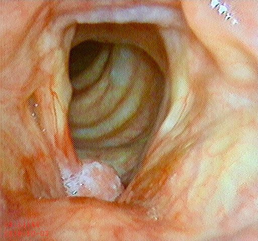 Maria Del Carmen Solano Mendoza-1