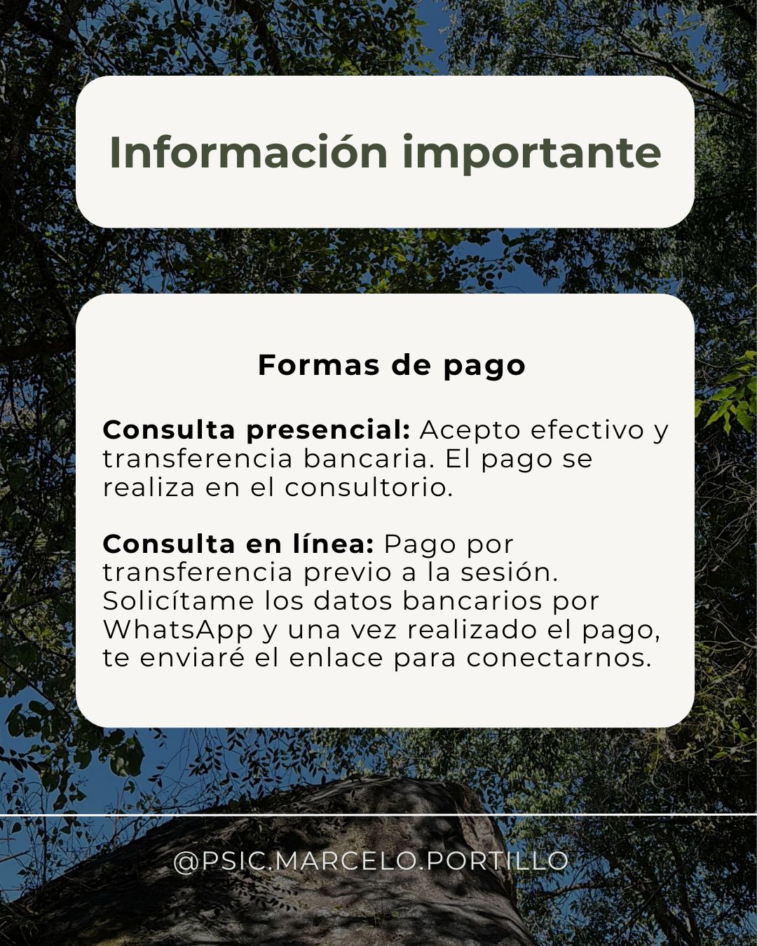 Eduardo Portillo Moreno-4