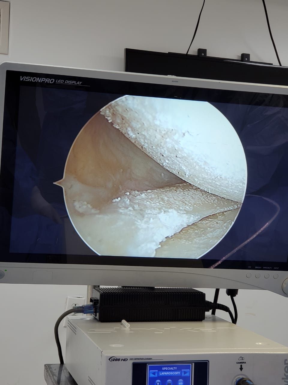 Sergio Torrecillas Serna-44