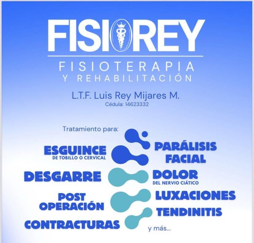 Luis Rey Mijares Martinez-0