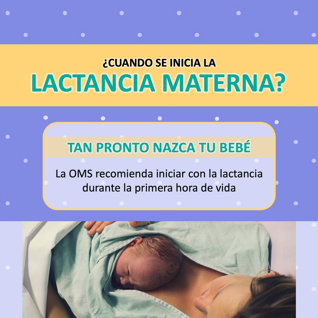 Adriel Hernandez Chapoy-15