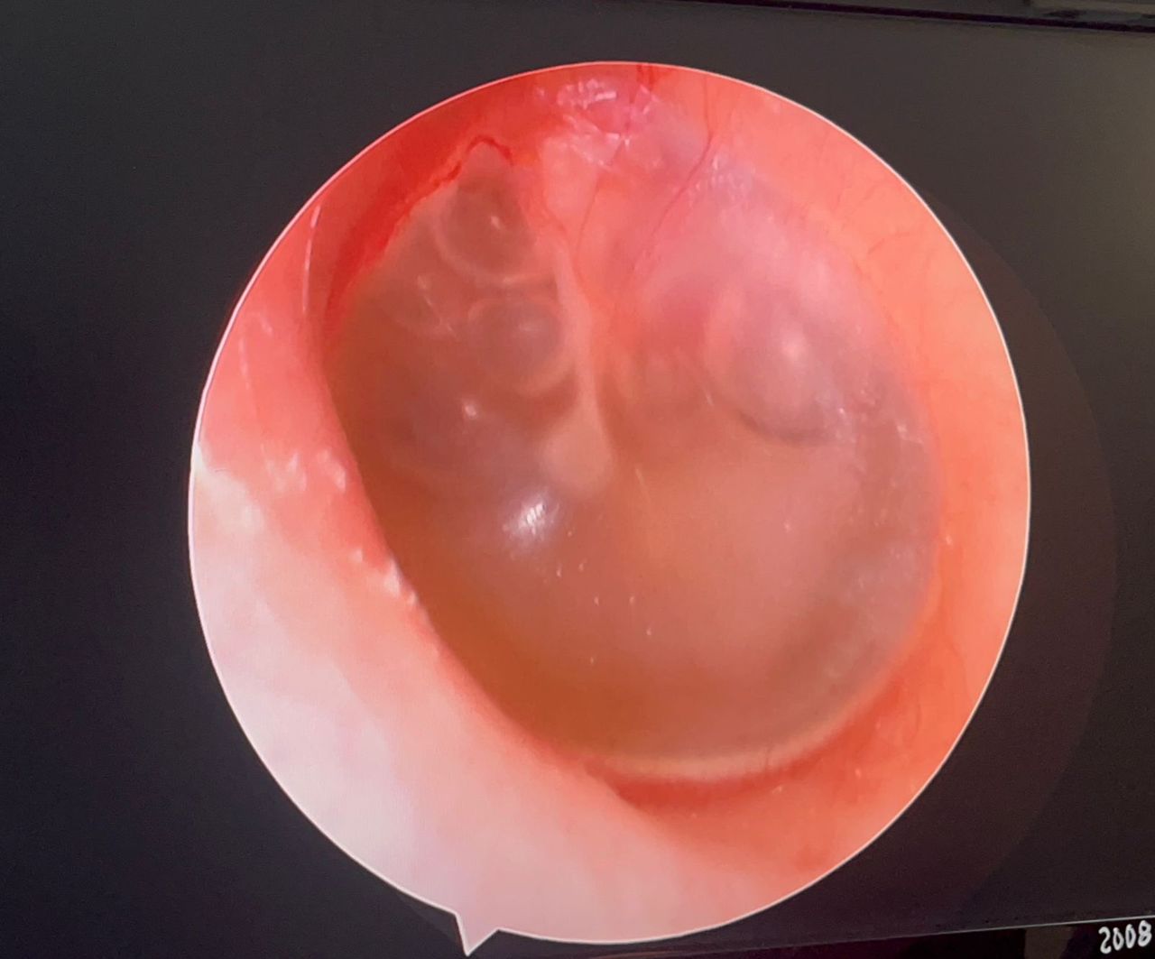 Martin Alberto Hernandez Cardenas-7