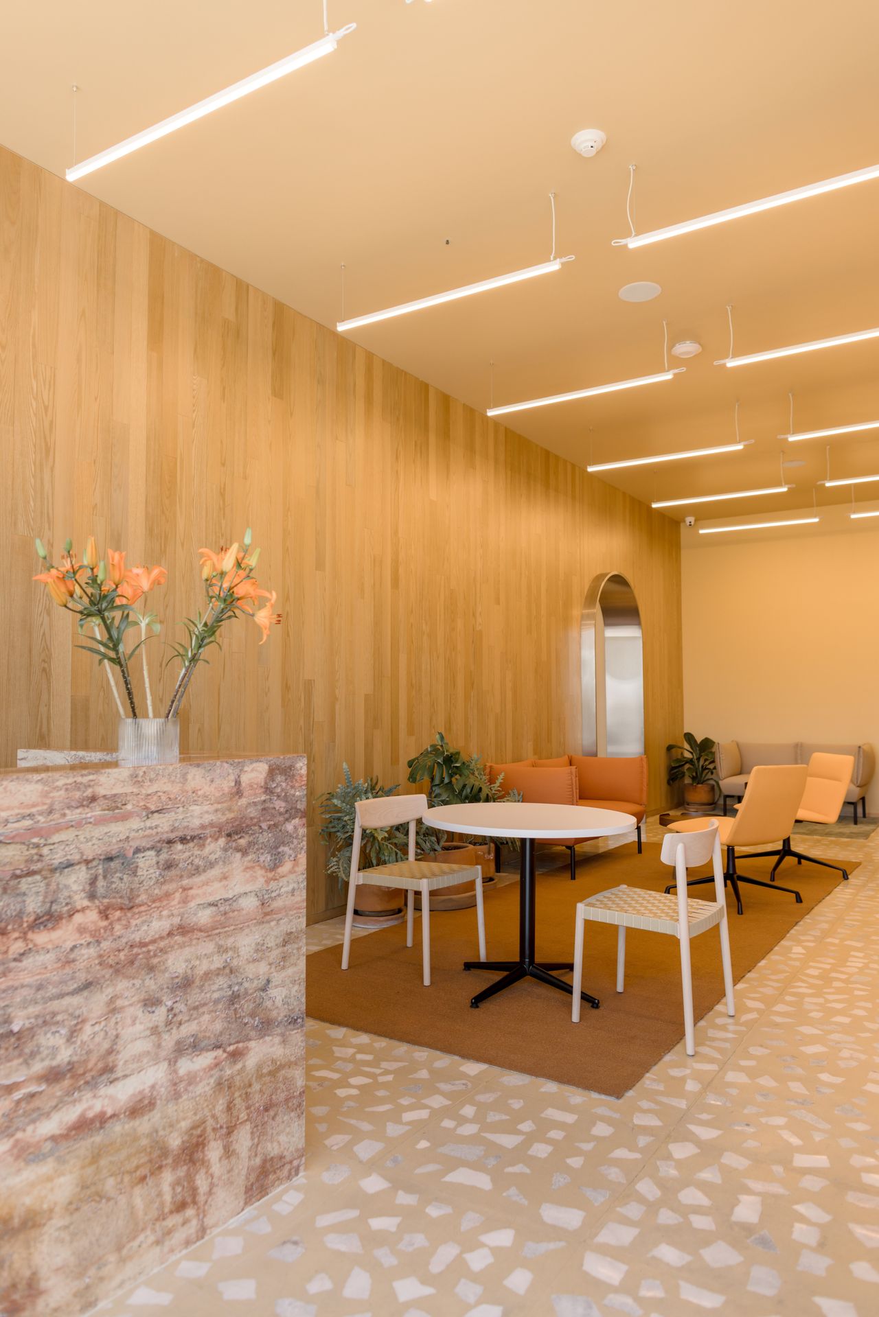 María Guadalupe Nolazco Beltrán-0